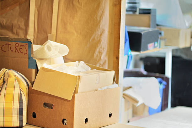 Best Construction Debris Removal  in Laingsburg, MI